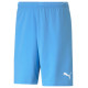 Puma Shorts Puma teamRise Short Team M 704942 18 (2 XL)