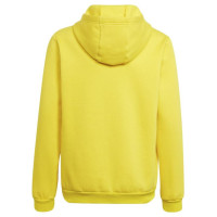 Adidas Sweatshirt adidas Entrada 22 Hoody Y Jr HI2142 (116 cm)
