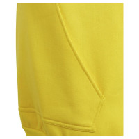 Adidas Sweatshirt adidas Entrada 22 Hoody Y Jr HI2142 (116 cm)