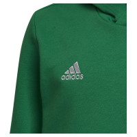 Adidas Sweatshirt adidas Entrada 22 Hoody Y Jr HI2143 (128 cm)