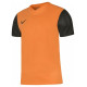 Nike Dri-Fit Tiempo Premier 2 Jr DH8389-819 T-shirt (M (137-147cm))