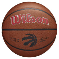 Wilson Team Alliance Toronto Raptors Ball WTB3100XBTOR (7)