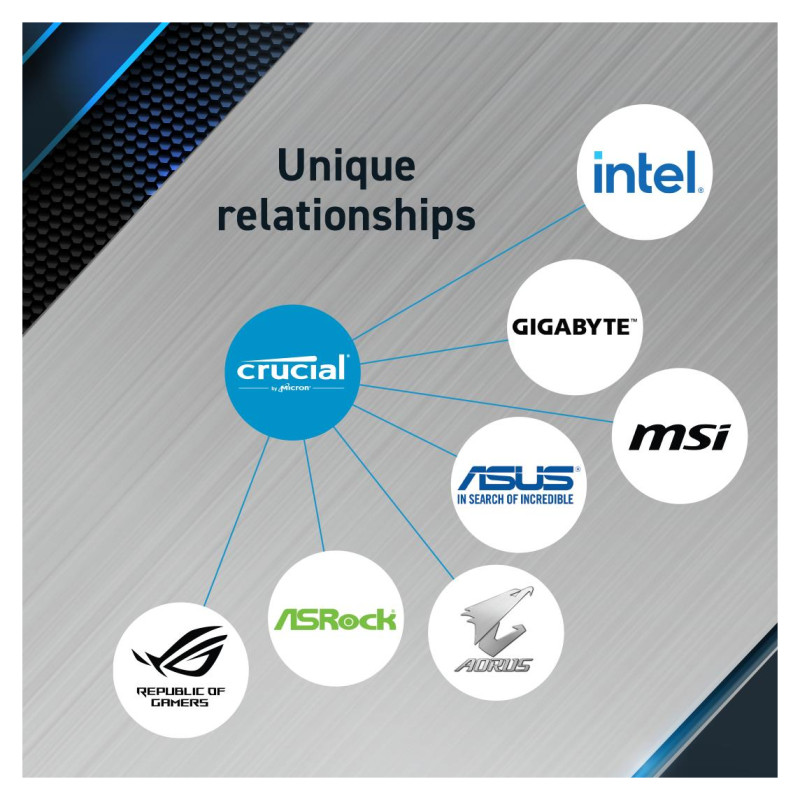 Crucial MEMORY DIMM PRO 24GB DDR5-5600/CP24G56C46U5 CRUCIAL