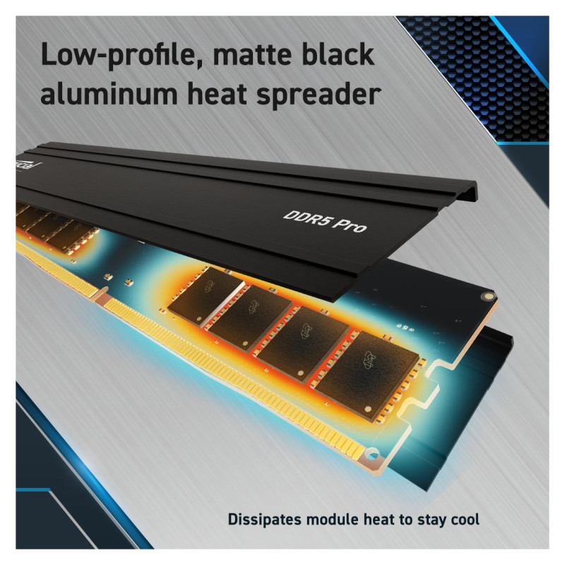 Crucial MEMORY DIMM PRO 24GB DDR5-5600/CP24G56C46U5 CRUCIAL