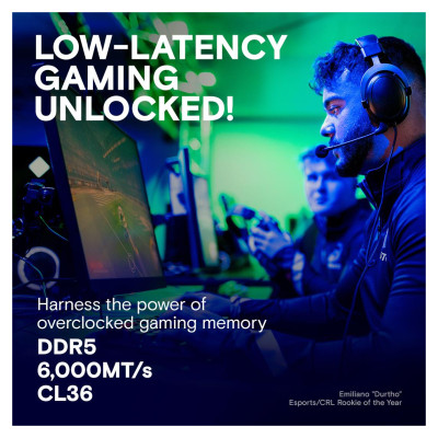 Crucial MEMORY DIMM PRO 32GB DDR5-6000/KIT2 CP2K16G60C36U5W CRUCIAL