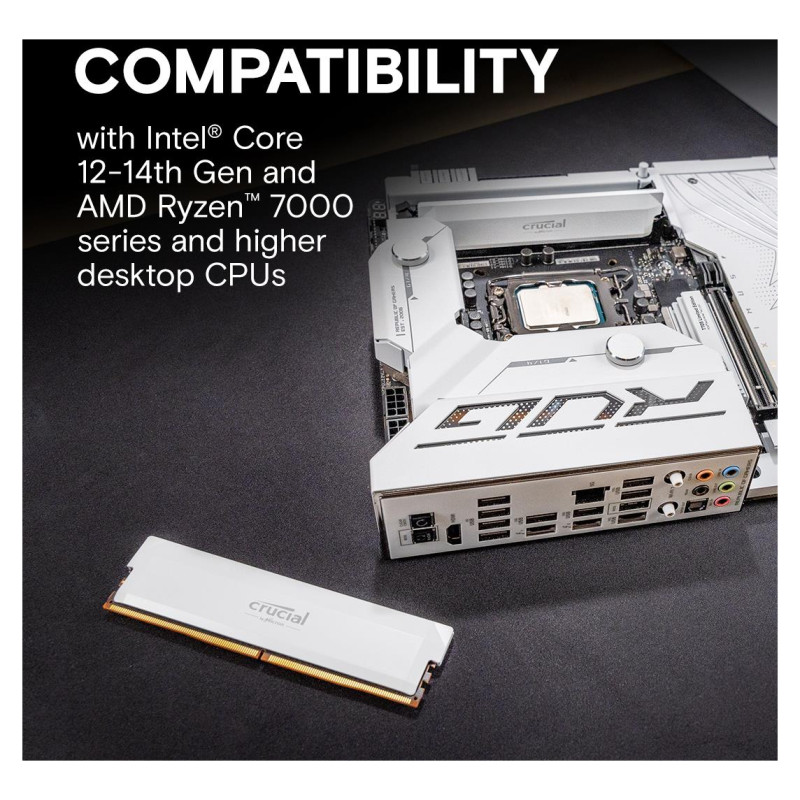 Crucial MEMORY DIMM PRO 32GB DDR5-6000/KIT2 CP2K16G60C36U5W CRUCIAL