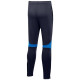 Nike Academy Pro Pant Youth Jr DH9325 451 (M)