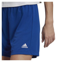 Adidas Shorts adidas Entrada 22 W HH9998 (M)
