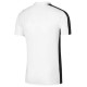 Nike Dri-FIT Academy M DR1346-100 T-shirt (S (173cm))