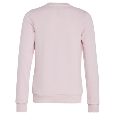 Adidas Sweatshirt adidas Big Logo Swt Jr IC6119 (152 cm)