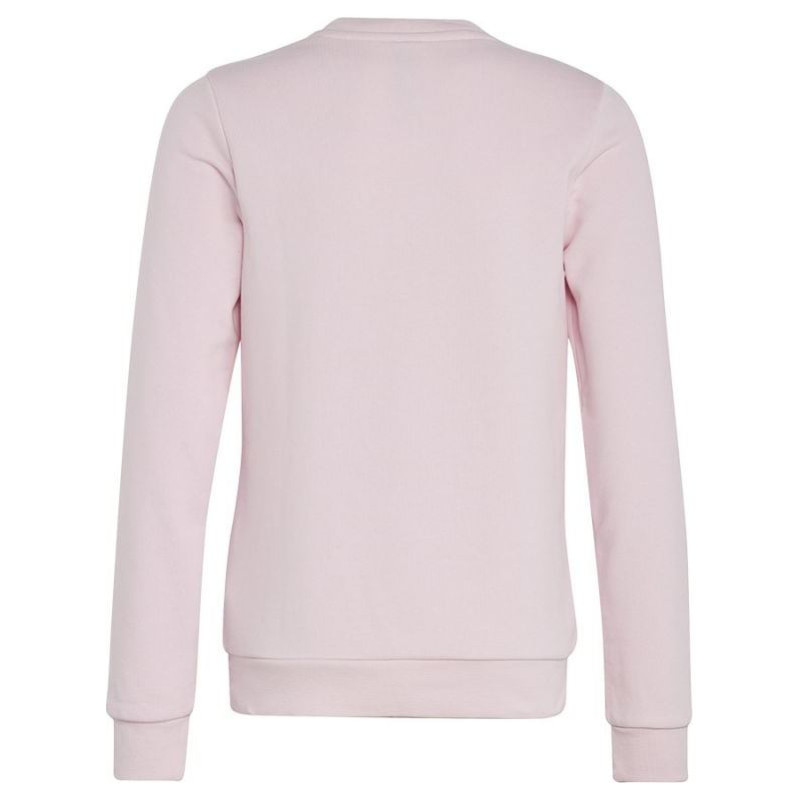 Adidas Sweatshirt adidas Big Logo Swt Jr IC6119 (152 cm)