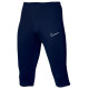 Nike Shorts Nike Dri-FIT Academy M DR1365-451 (S (173cm))