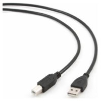 Gembird Kabelis Gembird USB Male - USB Male B 3m Black