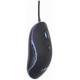 Gembird Datorpele Gembird Illuminated Large Size Wired Mouse Black