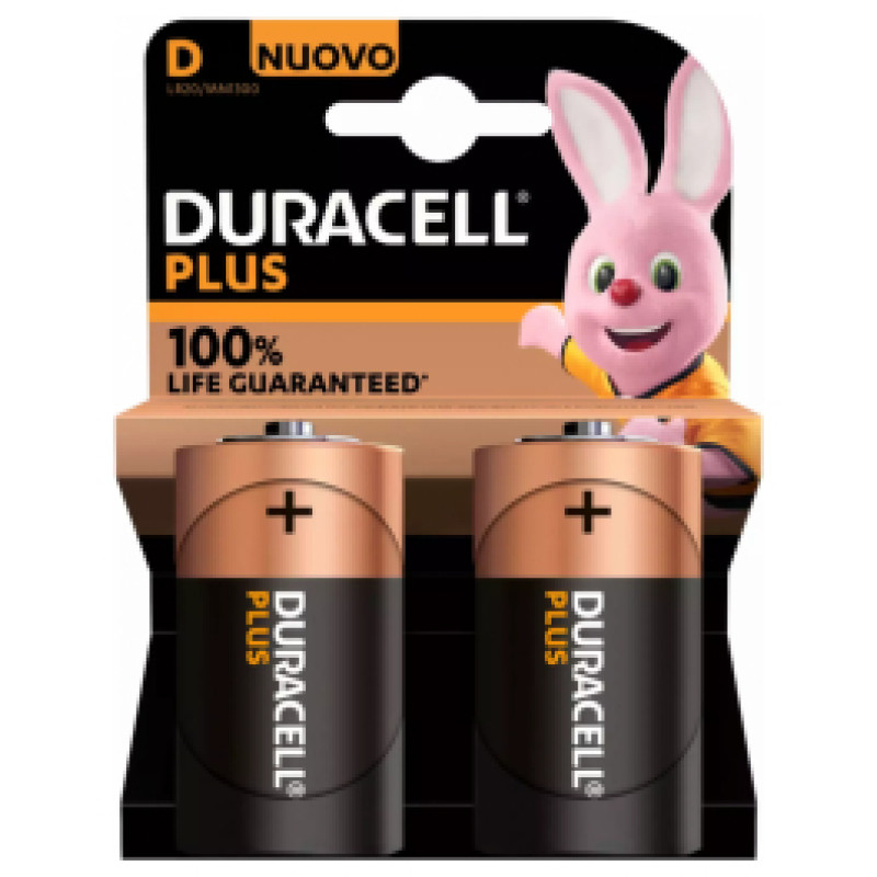 Duracell Baterija Duracell D2 Basic Alkaline 2 Pack