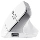 Trust Datorpele Trust Bayo II Ergonomic White
