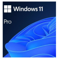Microsoft Windows 11 Pro ENG OEM