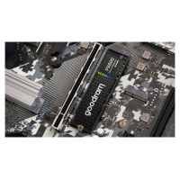 Goodram SSD disks Goodram PX600 M.2 500GB