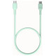 Green Cell Kabelis Green Cell PowerFlex Fast Charging USB Type-C Male - USB Type-C Male 100W Mint Green 2m