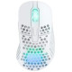 Xtrfy Datorpele Cherry XTRFY M4 RGB Wireless white