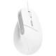 Trust Datorpele Trust Bayo II White