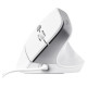 Trust Datorpele Trust Bayo II White