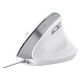 Trust Datorpele Trust Bayo II White
