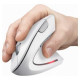 Trust Datorpele Trust Verto White