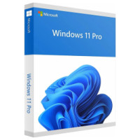 Microsoft Windows 11 Pro ENG Intl USB FPP