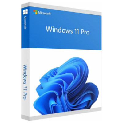 Microsoft Windows 11 Pro ENG Intl USB FPP