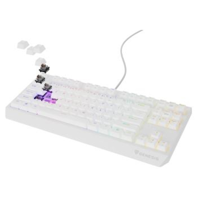 Genesis Klaviatūra Genesis Thor 230 TKL Outemu Brown