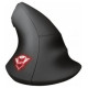 Trust Datorpele Trust GXT 144 Rexx Black