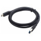 Gembird Kabelis Gembird USB Male - Type C Male 1m Black