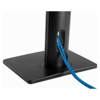 Gembird Monitora stiprinājums Gembird Height Adjustable Monitor Desk Stand