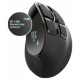 Trust Datorpele Trust Voxx Ergonomic Black