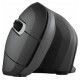 Trust Datorpele Trust Verro Ergonomic Black