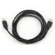 Gembird Kabelis Gembird USB Male - USB Male B 1.8m Black