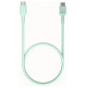 Green Cell Kabelis Green Cell PowerFlex Fast Charging USB Type-C Male - USB Type-C Male 100W Mint Green 1.2m