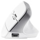 Trust Datorpele Trust Bayo+ Ergonomic White