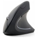 Gembird MUSW-ERGO-01 Ergonomic Wireless Black