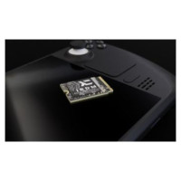 Goodram Cietais disks GoodRam Pro Nano 1TB