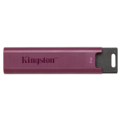 Kingston Zibatmiņa Kingston DataTraveler MAX 1TB