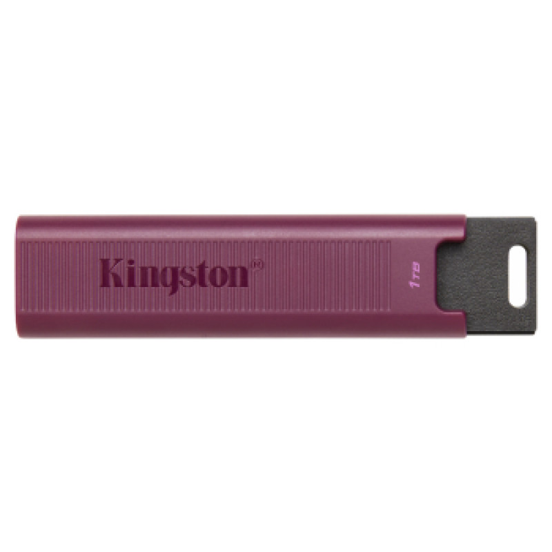 Kingston Zibatmiņa Kingston DataTraveler MAX 1TB