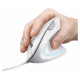 Trust Datorpele Trust Verto Ergonomic White