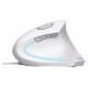 Trust Datorpele Trust Verto Ergonomic White