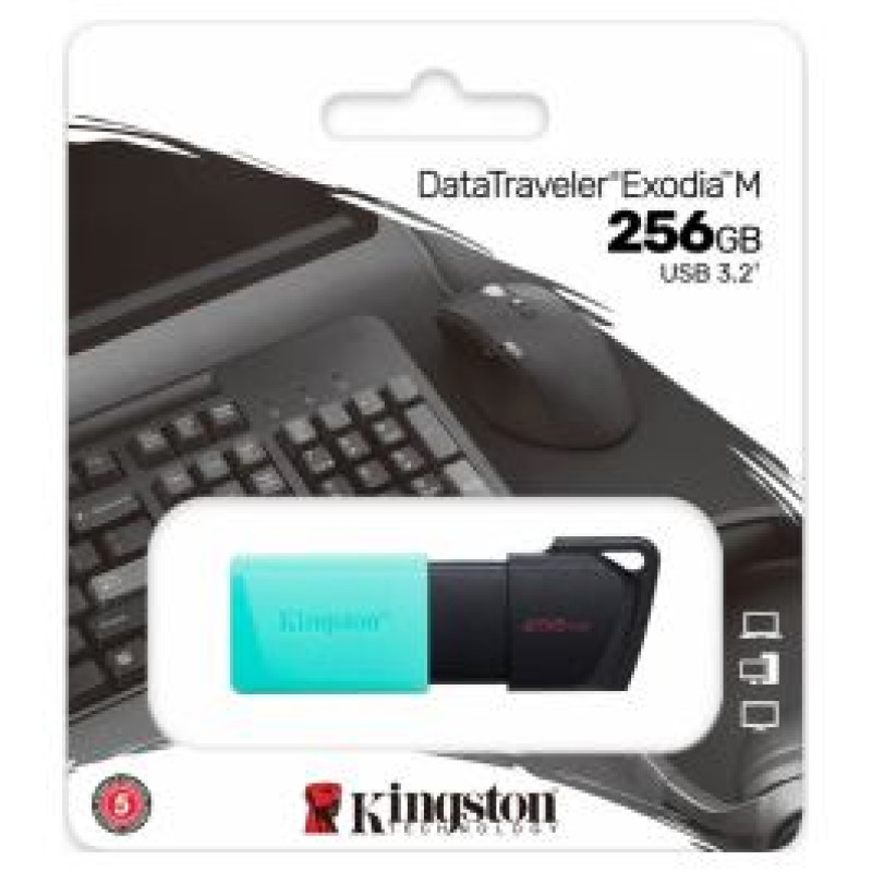 Kingston DataTraveler Exodia M 256GB