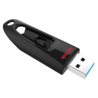 Sandisk MEMORY DRIVE FLASH USB3 256GB/SDCZ48-256G-U46 SANDISK