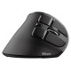 Trust MOUSE USB OPTICAL ERGONOMIC/VOXX 23731 TRUST