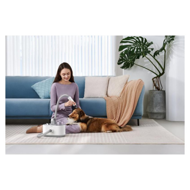 Dreame Vacuum Cleaner|DREAME|Mova G1 Pro Pet Grooming Kit|350 Watts|Capacity 1 l|Noise 36 dB|Weight 2.9 kg|PHC10A