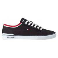 Tommy Hilfiger Harrington 5D2 M shoes FM0FM00543-403 (43)